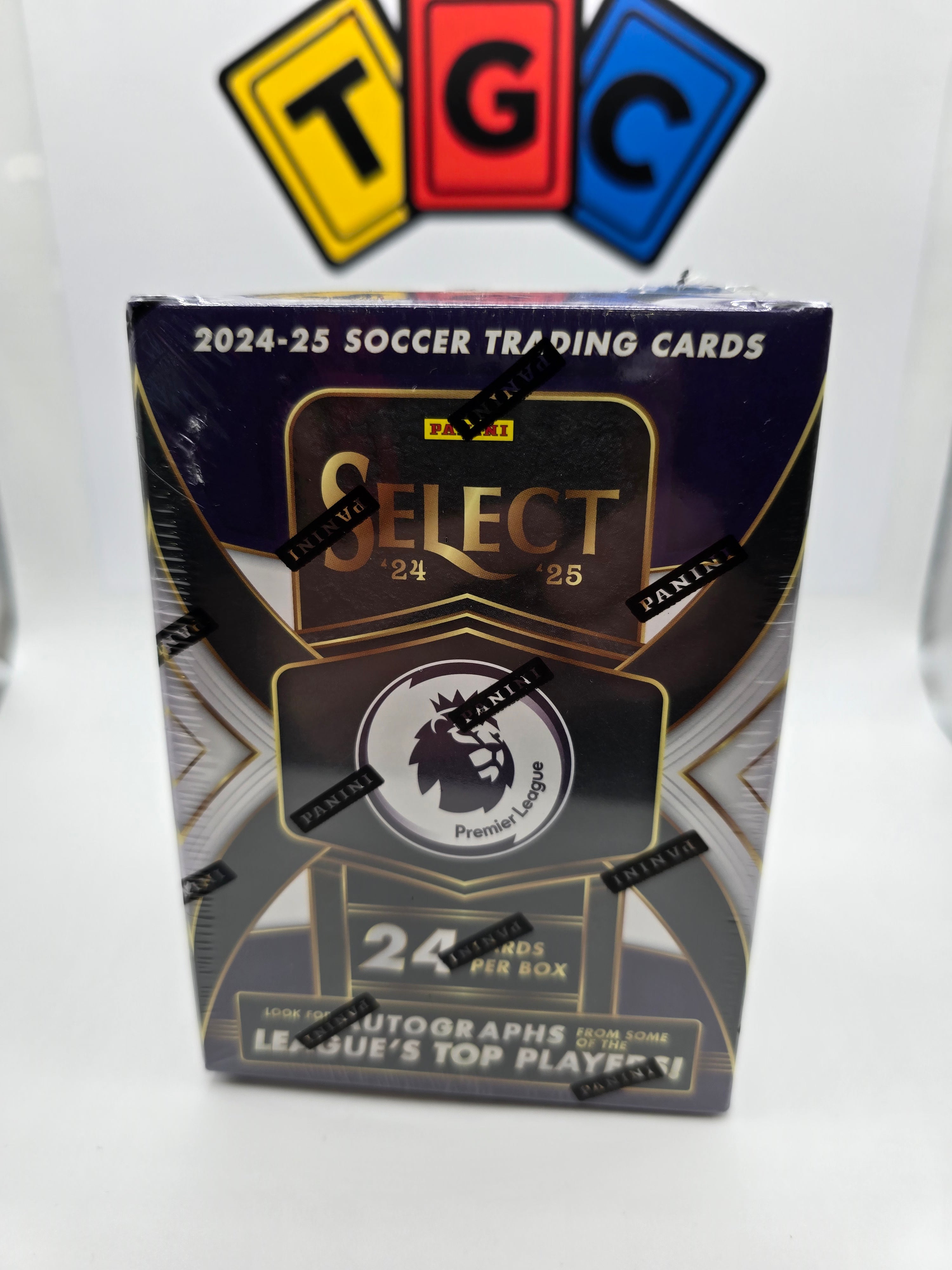 Panini Select Premier League 24/25